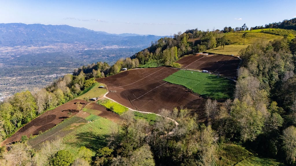 Fórmulas agrícolas Prohorca