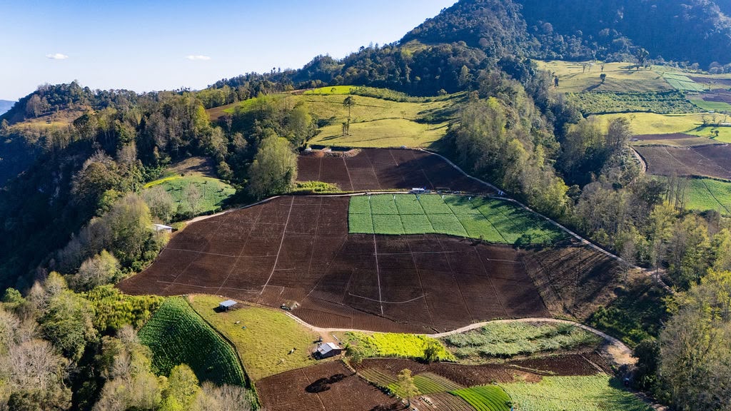 Catálogo de insumos agrícolas Prohorca Honduras