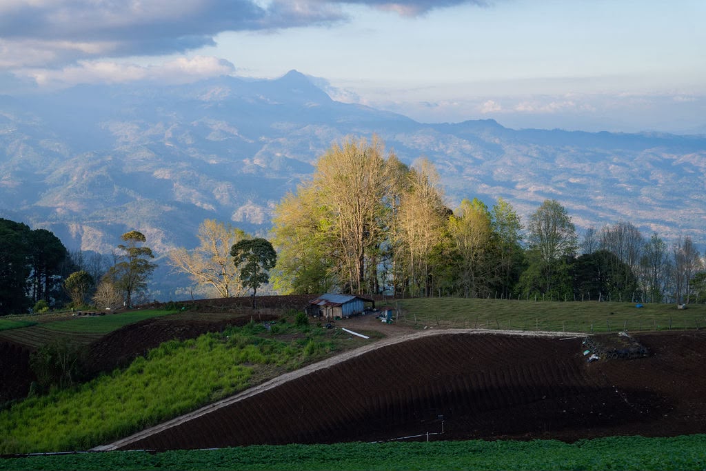 Producción agrícola Prohorca