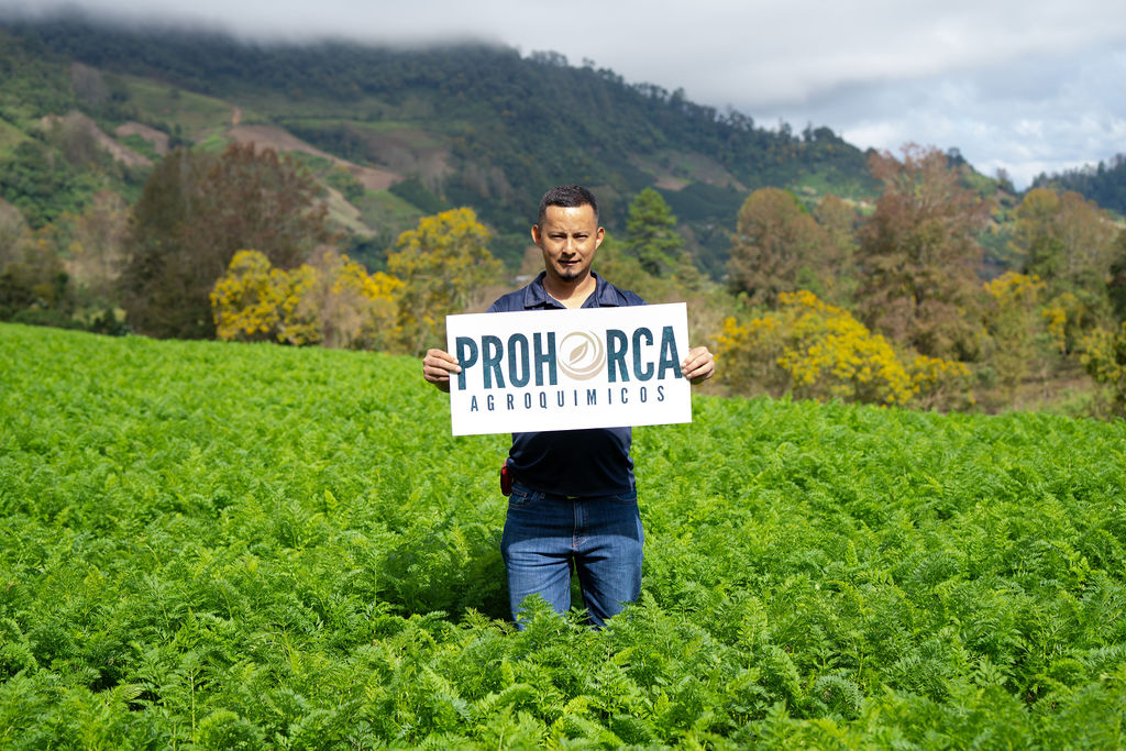 Campo agrícola Prohorca Honduras